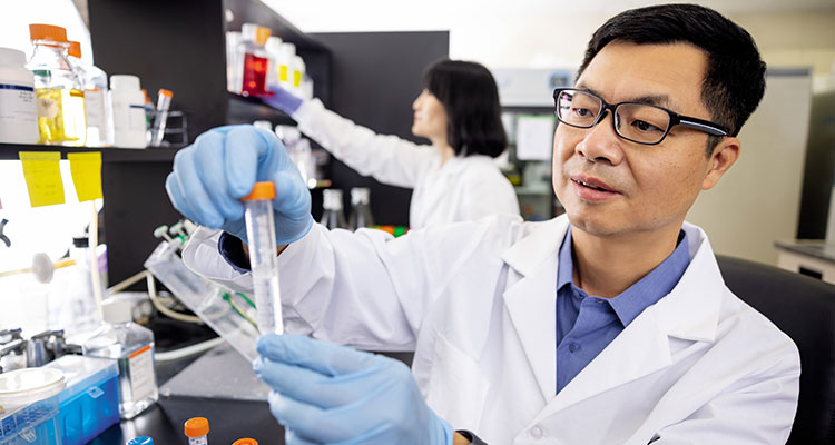 Dr. Chen in lab